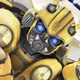 Bumblebee 