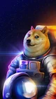 ASTRO doge