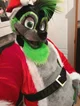 Greenywoof Fursuit 