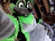 Greenywoof Fursuit 
