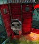 Hampter dwight