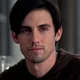 Peter Petrelli