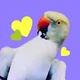 beaker the parrot