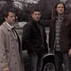 Team Free Will 