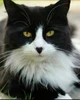 Whiskernose