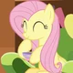 MLP - Fluttershy