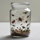 Jar of tickle bugs