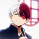 Mha Transfer Student