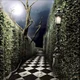 Dark Maze