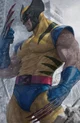 Wolverine