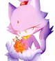 Blaze the Cat