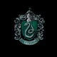 Slytherin gang