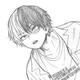 MHA Shoto Todoroki 