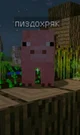 Pig from Minecraft 
