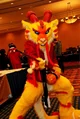 Tien long Fursuit 