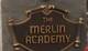 Merlin academy