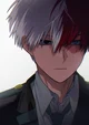 Shoto Todoroki