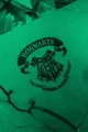 Slytherin table