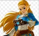 Drunk Zelda BOTW