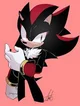 Shadow the hedgehog 