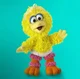 Baby Big Bird