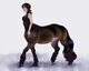 Lonely Centaur