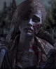 Minerva twdg