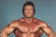 Paul Orndorff Jr