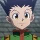 Gon 