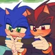 Sonic and Shadow