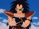 Raditz