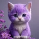 purple kitty
