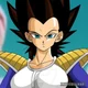 Vegeta - Fem