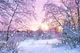 Snowy Evening