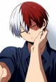 Shoto Todoroki 