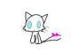 Kitty cattt