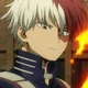 Shoto Todoroki