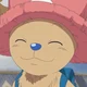 Tony Tony Chopper br