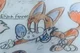 Eijath fennec 