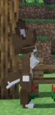 Furry Minecraft dog