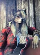 Nora the Lupine Wolf