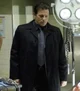 Mark Hoffman