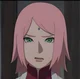 Sakura haruno 