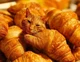 Croissant Cat