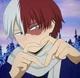Shoto Todoroki