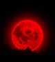 The Blood Moon