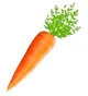 Carrots