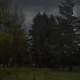 Human