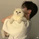 boyfriend RICKY