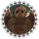 F13 - JASON VOORHEES